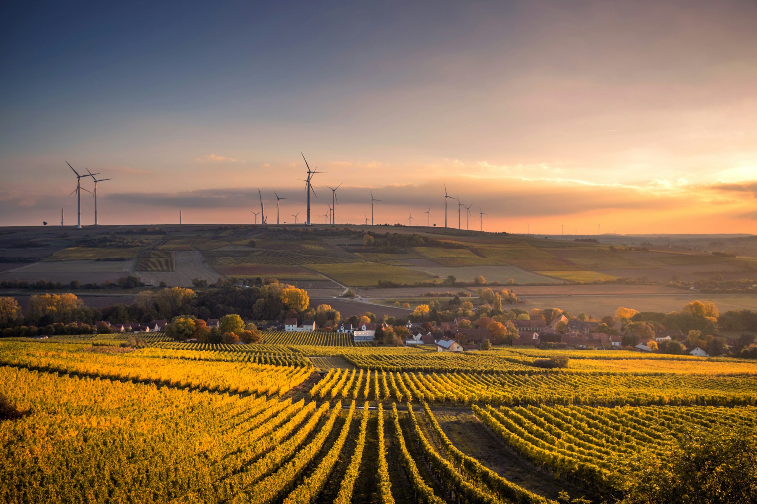 Organic Matters News - Greener World - All Rights Reserved